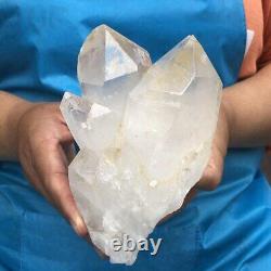 1150G Groupe de cristaux de quartz clair naturel spécimen minéral guérit