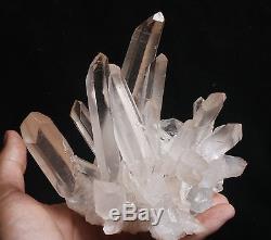 1150g Aaa Clair Naturel Beau Blanc Quartz Crystal Cluster Specimen