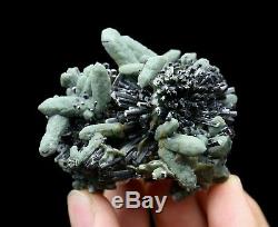 115g Rare! Beauté Cristal Vert Cluster & Ilvaite Minéraux Échantillons / Chine