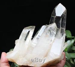 1180g Cristal Naturel Clair Magnifique Blanc Quartz Cristal Cluster Spécimen