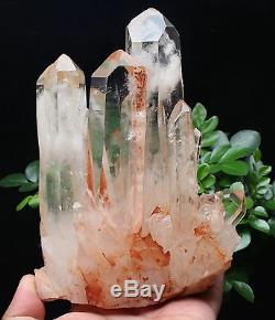 1180g Spéciale Naturelle Belle Blanc Quartz Crystal Cluster Specimen