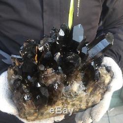 12.3lb 7.8 Natural Large Black Quartz Crystal Cluster Spécimen Tibétain Eg37