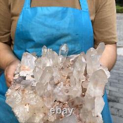 12,54LB Beau spécimen de cluster de cristaux de quartz blanc naturel clair pour la guérison