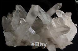 12350g Natural Tibetan Clear Quartz Cristal Cluster Point Minéral Spécimen