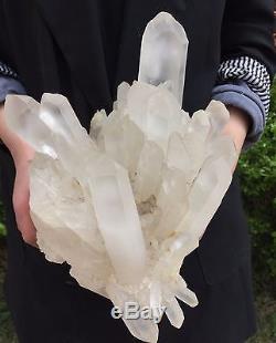 13.40lbclear Natural Chrysanthème Blanc Quartz Crystal Cluster Specimen 4-19-15