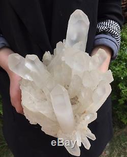 13.40lbclear Natural Chrysanthème Blanc Quartz Crystal Cluster Specimen 4-19-15