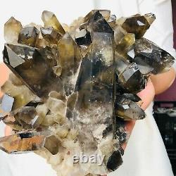 13.5lb Citrine Naturelle Fumée Quartz Cristal Cluster Mineral Healing M499