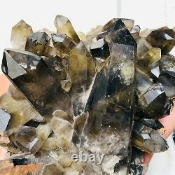 13.5lb Citrine Naturelle Fumée Quartz Cristal Cluster Mineral Healing M499