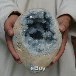 13.82lb Naturel Bleu Bébé Célestite Quartz Geode Cluster Brésil Points