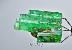 13.90 Ct Bien Terminé Transparent Top Vert Panjsher Emerald Crystal Bunch@af