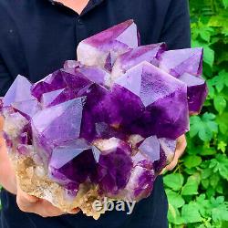 14.1lb Spécimen Naturel De Cristal De L’améthyste Geode Quartz Heali /ljb335