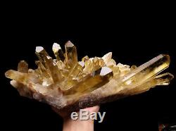 14.8lb Naturel Clair Smoky Citrine Quartz Point Cristal Cluster Healing Mineral
