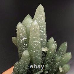 140.6g Natural Green Squelettique Crystal Cluster Quartz Crystal Mineral Specimen