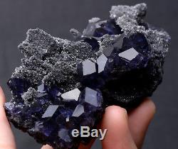 144.2g Naturel Violet. Spécimen Minéral De Grappe De Quartz De Quartz De Fluorite Bleu