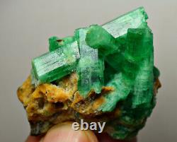 149 Ct. Pleine Terminée Top Vert Panjsher Emerald Énorme Cristaux Bunch, Quartz