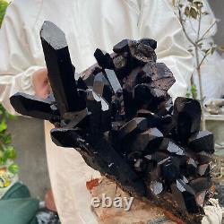 15,2 lb Grand Cluster de Cristal de Quartz Fumé Noir Naturel Brut Specimen Minéral
