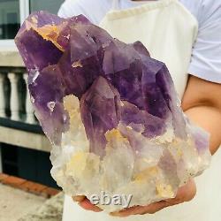 15.57lb Uruguay Améthyste Naturel Quartz Cristal Cluster Mineral Healing A875