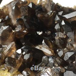15.8lb Énorme Quartz Naturel Fumé Noir Cristal Cluster Rugueux Guérison Des Échantillons