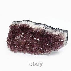 1560g Natural Amethyst Mineral Specimen Quartz Crystal Cluster Décoration Cadeau