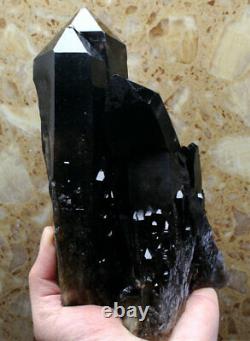 1580g Clear Natural Beautiful Black Quartz Crystal Cluster Specimen