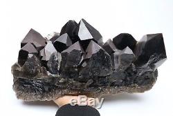 16.2lb Spécimen Minéral Rare De Grappe De Cristal De Quartz Noir De Beauté Naturelle / Chine