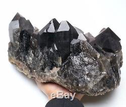 16.2lb Spécimen Minéral Rare De Grappe De Cristal De Quartz Noir De Beauté Naturelle / Chine