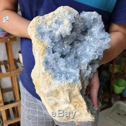 16.9lb Naturel Célestine Bleu Geode Cristal Cluster Minéral Prélèvement D'échantillons