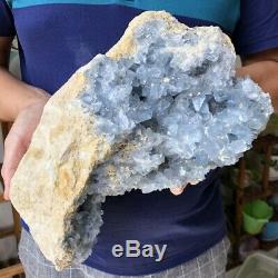 16.9lb Naturel Célestine Bleu Geode Cristal Cluster Minéral Prélèvement D'échantillons