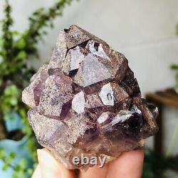 164g Natural Améthyst Quartz Cristal Cluster Geode Rough Mineral Specimens
