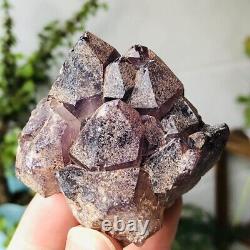 164g Natural Améthyst Quartz Cristal Cluster Geode Rough Mineral Specimens