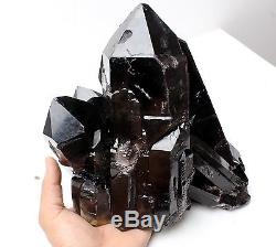 17,6lb Natural Rare Beautiful Black Quartz Crystal Cluster Mineral Specimen