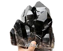 17,6lb Natural Rare Beautiful Black Quartz Crystal Cluster Mineral Specimen