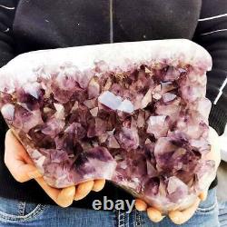 17,82LB Améthyste naturelle Géode de cristal de quartz spécimen minéral de guérison