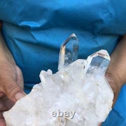 1720G Cluster de quartz clair naturel, spécimen minéral de cristal, guérit