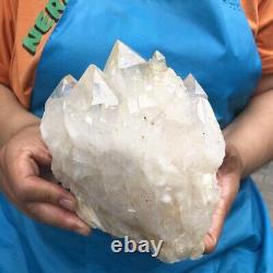 1760G Groupe de cristaux de quartz clair naturel - spécimen minéral guérit