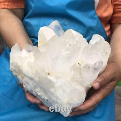 17LB Beau spécimen de grappe de cristal de quartz blanc naturel et transparent