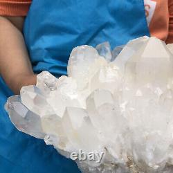 17LB Beau spécimen de grappe de cristal de quartz blanc naturel et transparent