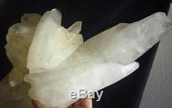 17lb Natural Clear White Quartz Cristal Cluster Double Points Original Tibétain