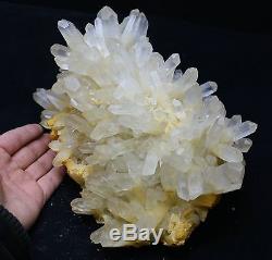 18.1lb Rare! Nouveau Spécimen De Grappe De Cristal De Pyramide De Quartz Jaune De Trouvaille