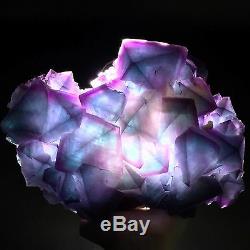 1930gmuseum Qualité Naturel Rare Violet / Bleu Octahedral Fluorite Cristal Cluster