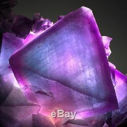 1930gmuseum Qualité Naturel Rare Violet / Bleu Octahedral Fluorite Cristal Cluster