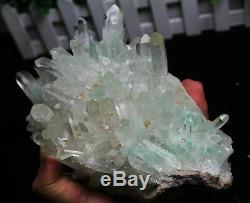 1966gnew! 100% Pyramide Rare Bright Green Phantom Naturel Cristal Cluster Spécimen