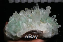 1966gnew! 100% Pyramide Rare Bright Green Phantom Naturel Cristal Cluster Spécimen