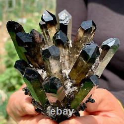 1PCs Nouvelle trouvaille de groupe de cristaux de quartz noir de type Phantom, spécimen minéral pour la guérison.