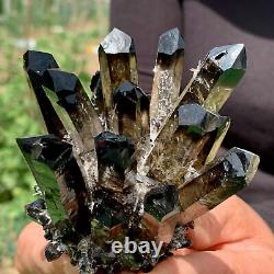 1PCs Nouvelle trouvaille de groupe de cristaux de quartz noir de type Phantom, spécimen minéral pour la guérison.