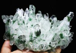 2.09lb Vert Clair Phantom Quartz Point Cristal Cluster Healing Mineral Specimen