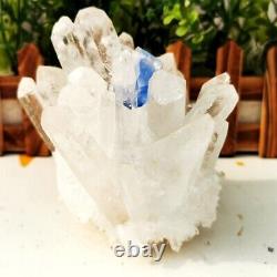 2.13lb Nouveau Trouver White Phantom Quartz Crystal Cluster Mineral Specimen Healing