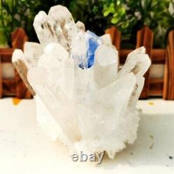 2.13lb Nouveau Trouver White Phantom Quartz Crystal Cluster Mineral Specimen Healing