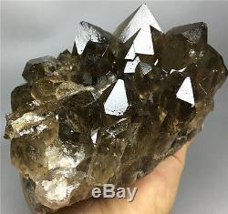 2.13lb Nouvelle Trouvaille Natural Clear Gold Spécimen De Grappe De Cristal Quartz Rutile