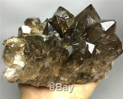 2.13lb Nouvelle Trouvaille Natural Clear Gold Spécimen De Grappe De Cristal Quartz Rutile